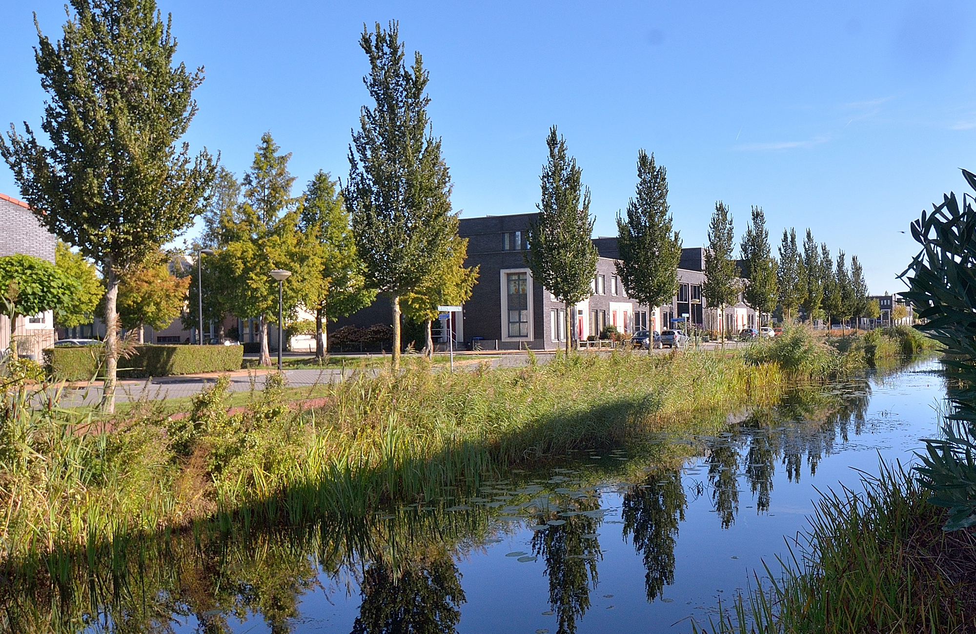 van Brussel Wiebenga