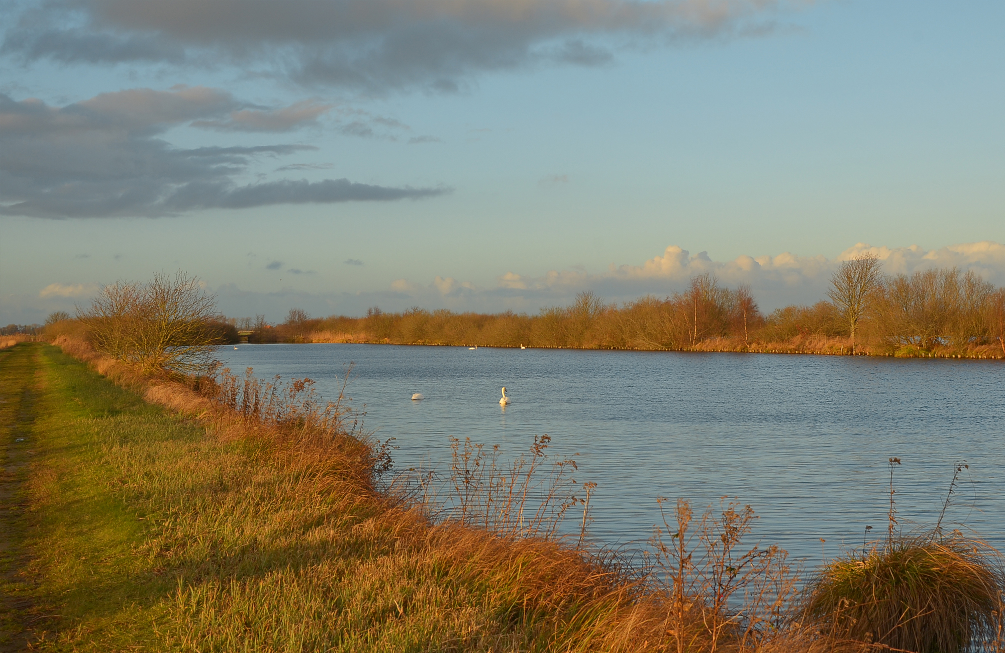 van Brussel Wiebenga