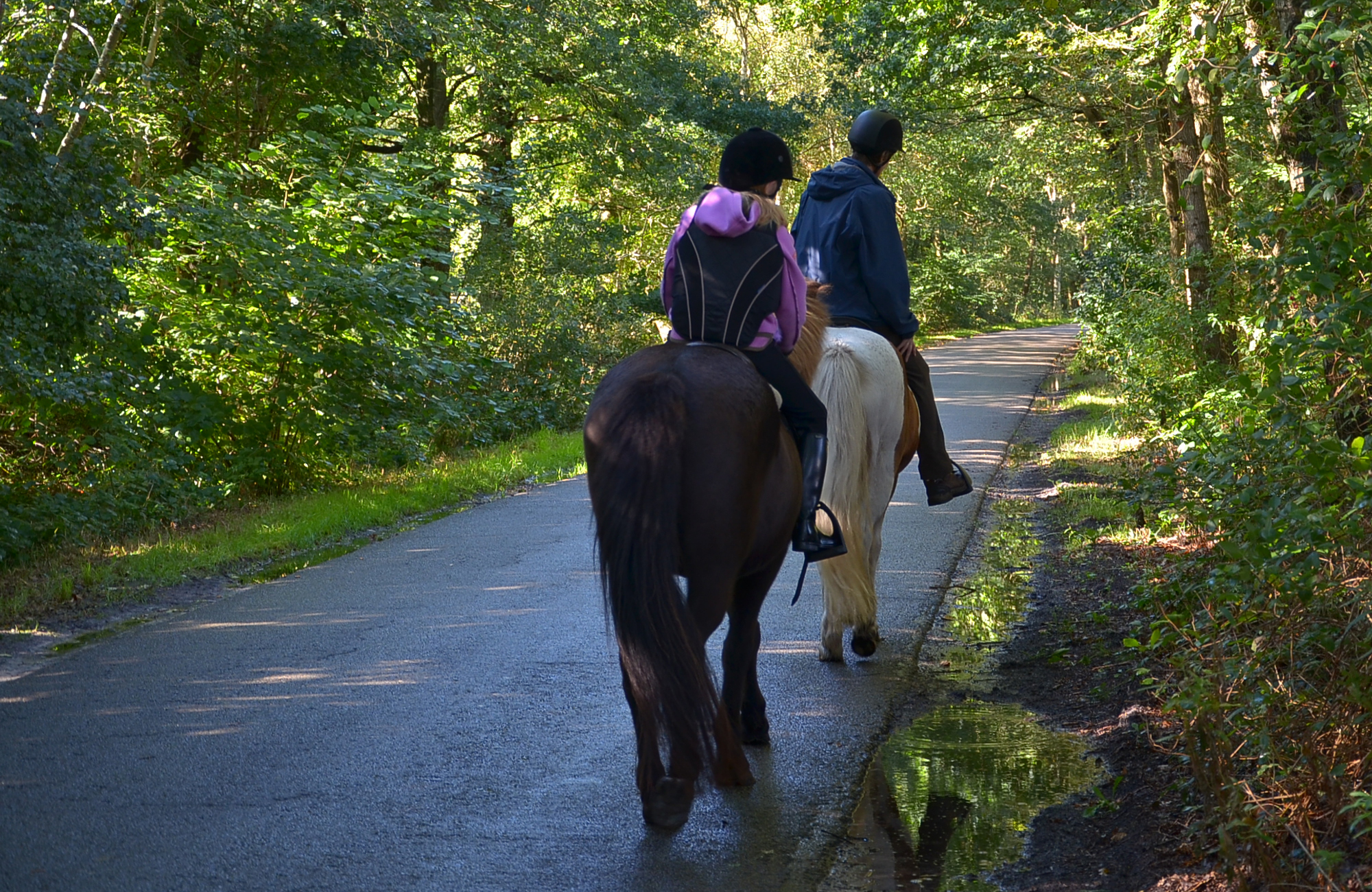 van Brussel Wiebenga