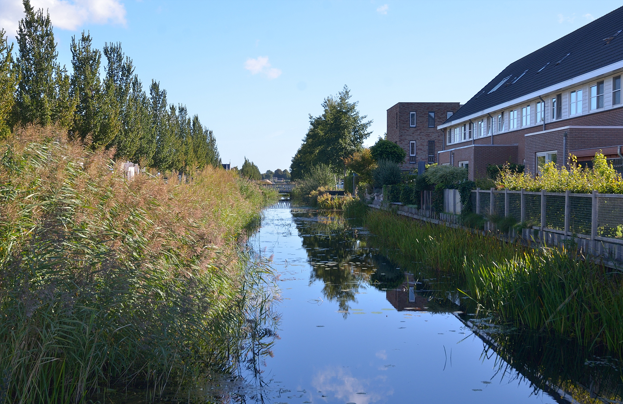 van Brussel Wiebenga